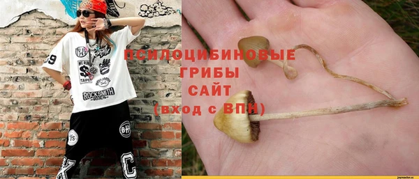 ALPHA PVP Краснотурьинск