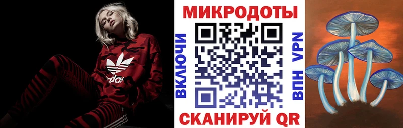 Купить закладки  Камышин  Псилоцибиновые грибы ЛСД